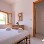 Albatros 3*