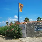 Albatros
