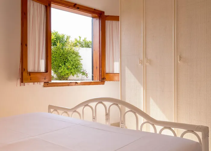 Albatros בריאטיקו