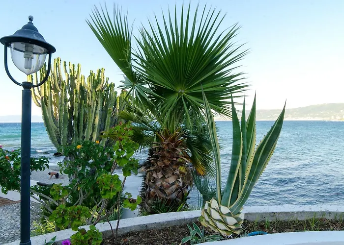 Albatros 3* בריאטיקו