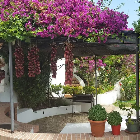 Aparthotel Albatros Briatico