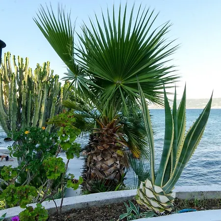 Albatros 3* Briatico