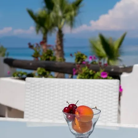 Albatros 3* 브리아티코